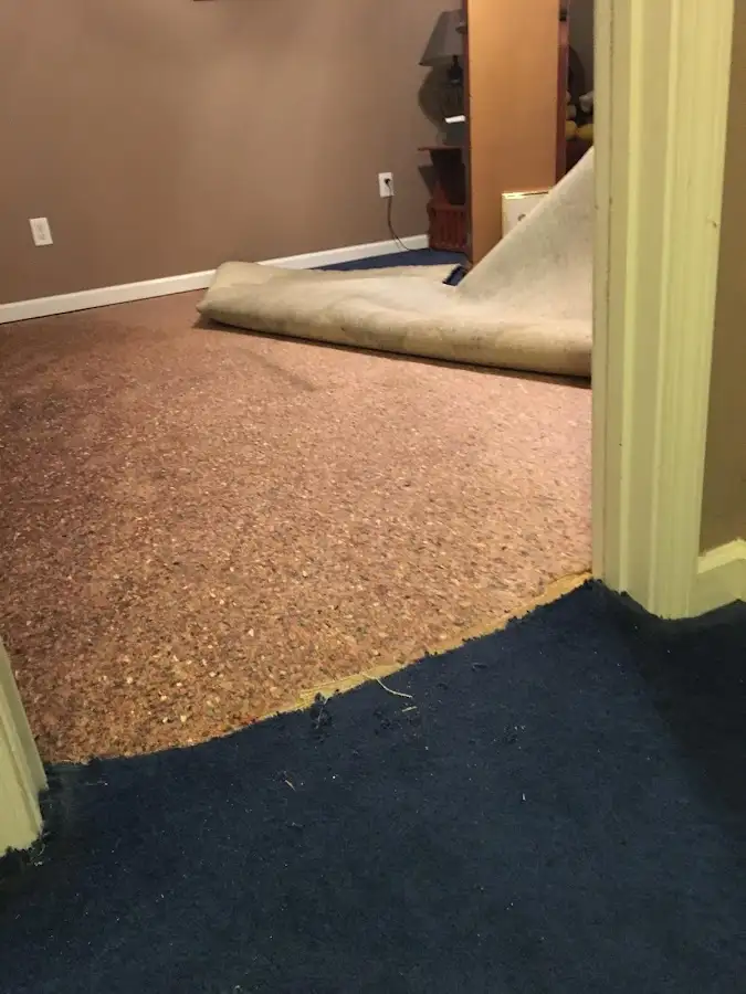 Carpet pad removal revealing water damage during Drying & Dehumidification in Downey